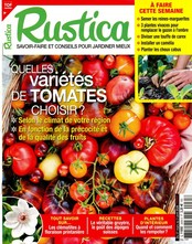 Rustica