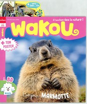 Wakou