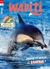Wapiti