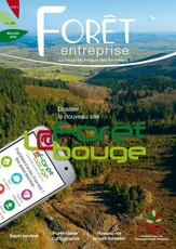 Forêt & Innovation